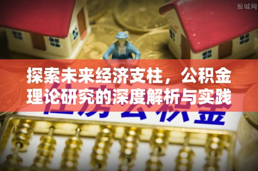 保税区探索未来经济支柱，公积金理论研究的深度解析与实践意义
