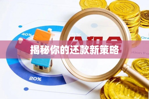 保税区揭秘你的还款新策略