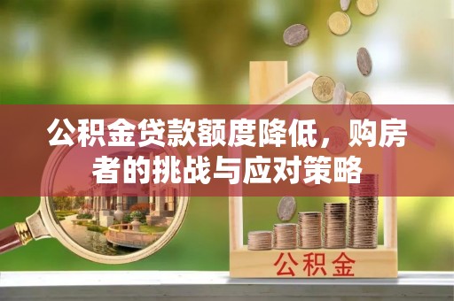 保税区公积金贷款额度降低，购房者的挑战与应对策略