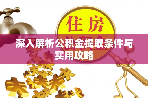 保税区深入解析公积金提取条件与实用攻略
