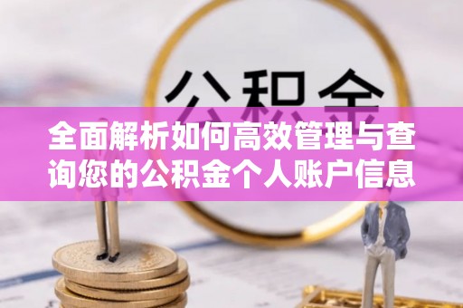 保税区全面解析如何高效管理与查询您的公积金个人账户信息