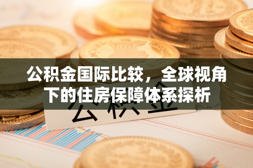 保税区公积金国际比较，全球视角下的住房保障体系探析