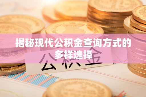 保税区揭秘现代公积金查询方式的多样选择