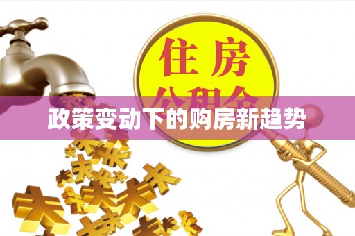 保税区政策变动下的购房新趋势