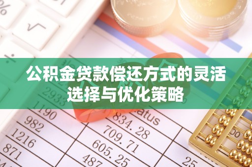 保税区公积金贷款偿还方式的灵活选择与优化策略