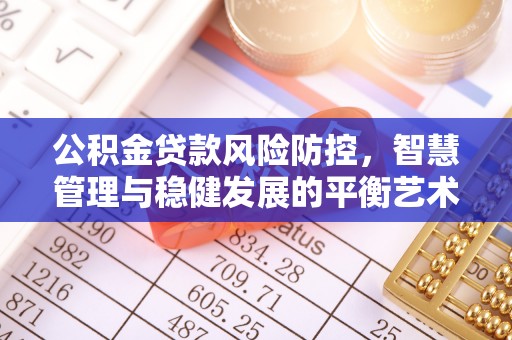 保税区公积金贷款风险防控，智慧管理与稳健发展的平衡艺术