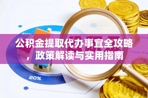 保税区公积金提取代办事宜全攻略，政策解读与实用指南