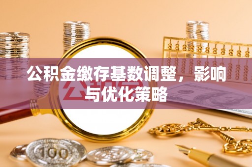 保税区公积金缴存基数调整，影响与优化策略