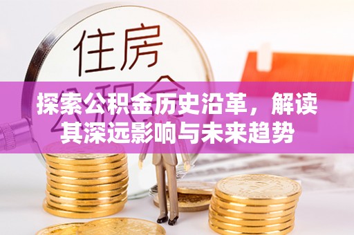 保税区探索公积金历史沿革，解读其深远影响与未来趋势