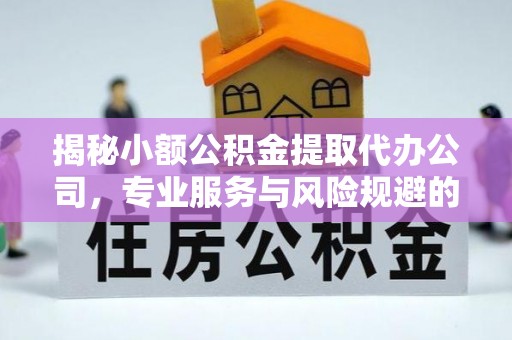 保税区揭秘小额公积金提取代办公司，专业服务与风险规避的平衡艺术